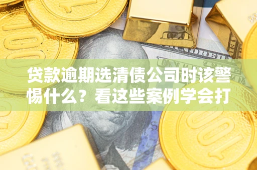 武汉贷款逾期选清债公司时该警惕什么？看这些案例学会打翻身仗