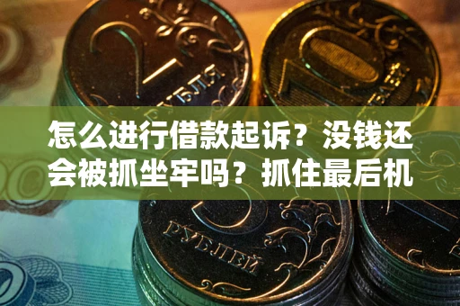 武汉怎么进行借款起诉？没钱还会被抓坐牢吗？抓住最后机会！