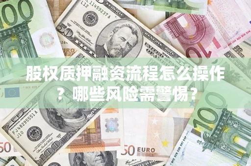 武汉股权质押融资流程怎么操作？哪些风险需警惕？