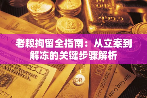 武汉老赖拘留全指南：从立案到解冻的关键步骤解析