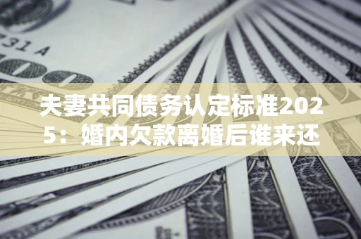武汉夫妻共同债务认定标准2025：婚内欠款离婚后谁来还？