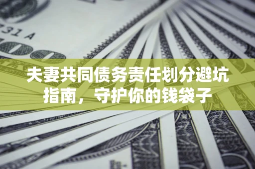 武汉夫妻共同债务责任划分避坑指南，守护你的钱袋子