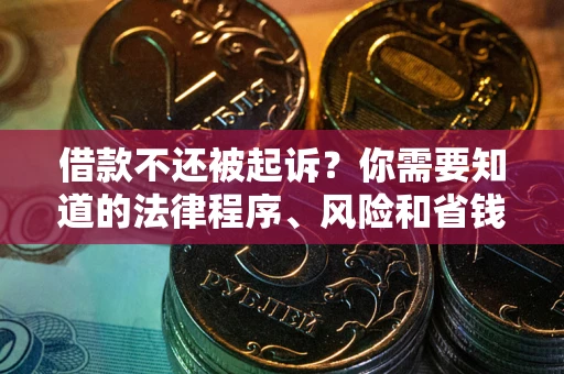武汉借款不还被起诉？你需要知道的法律程序、风险和省钱技巧